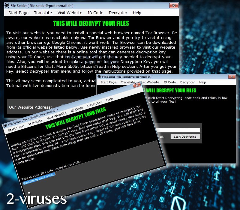 File Spider virus