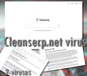 Le virus Cleanserp.net