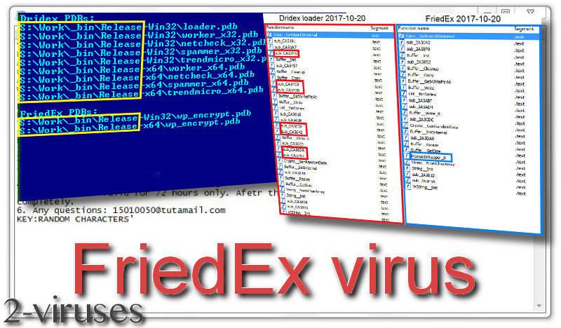 FriedEx virus remove