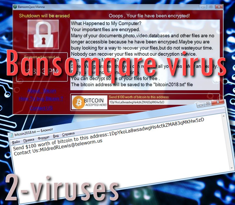 Bamsomqare virus