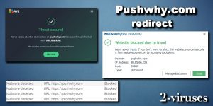 La redirection Pushwhy.com